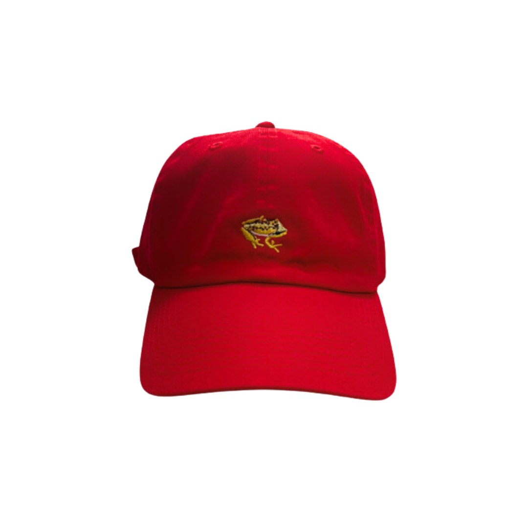 Qo-Qí Dad Hat