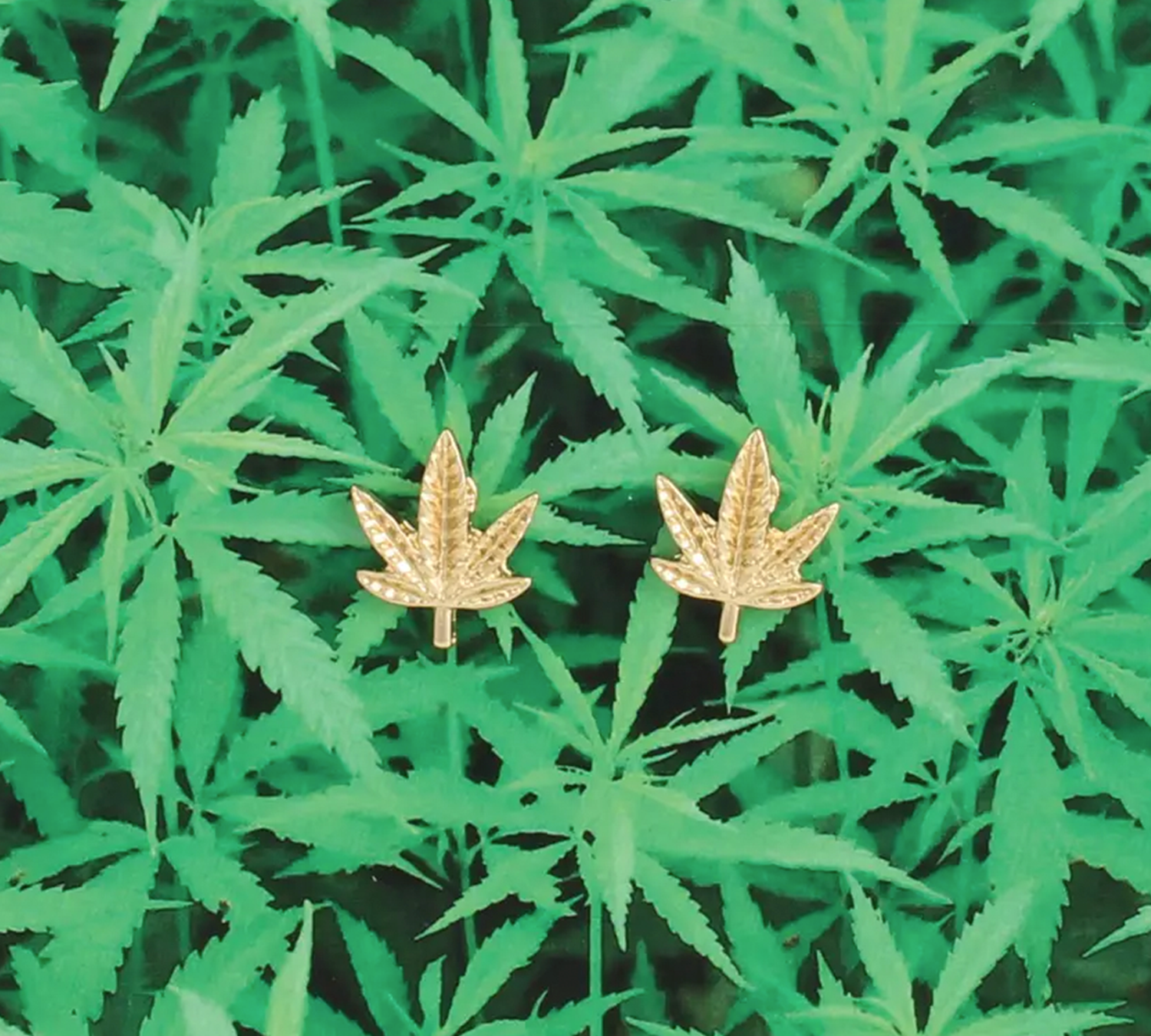 Cannabis Leaf Earrings | Gold Plated Cannabis Earrings | Suxess