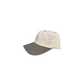 SX Dad Hat Canva