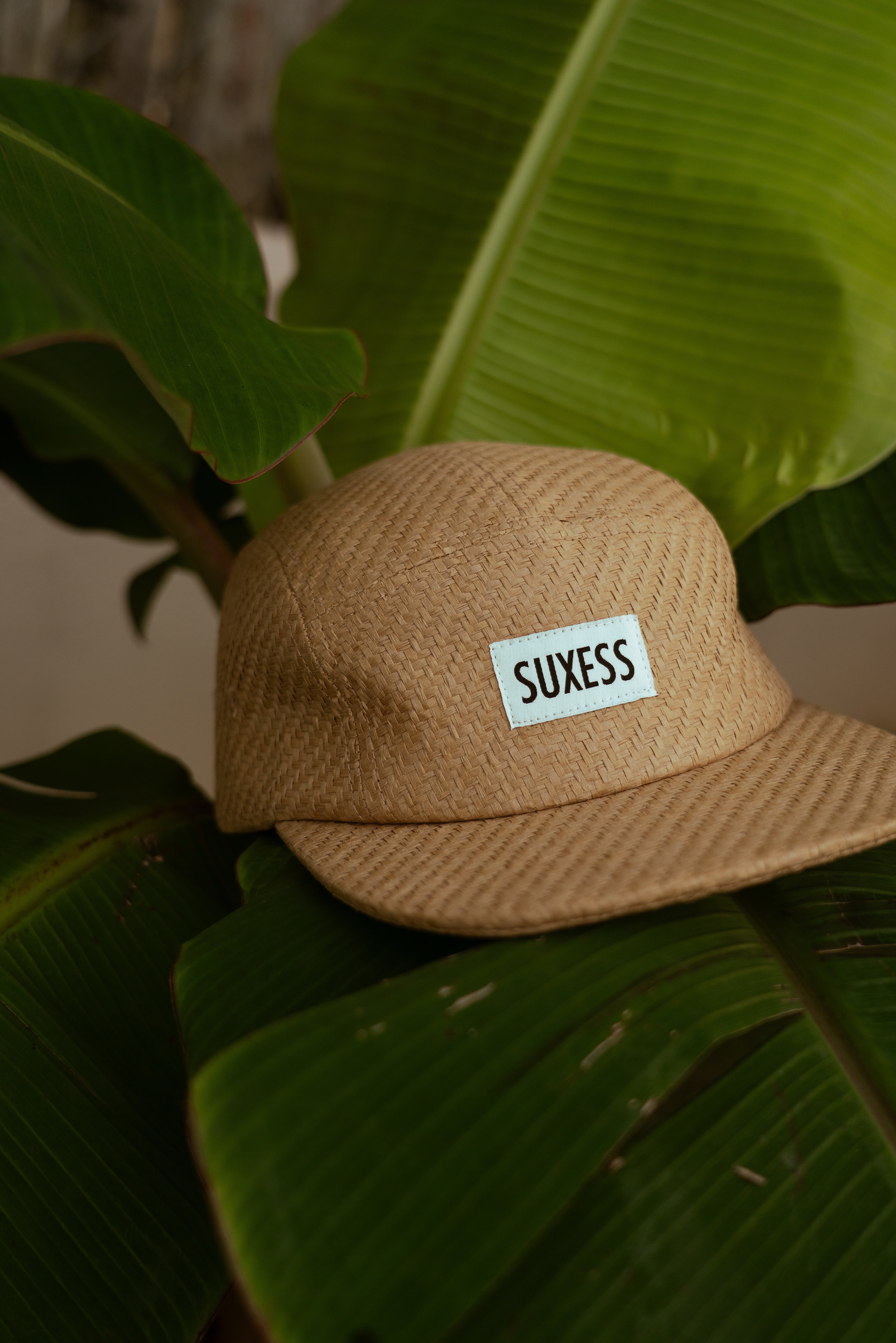 Pava Five Panel