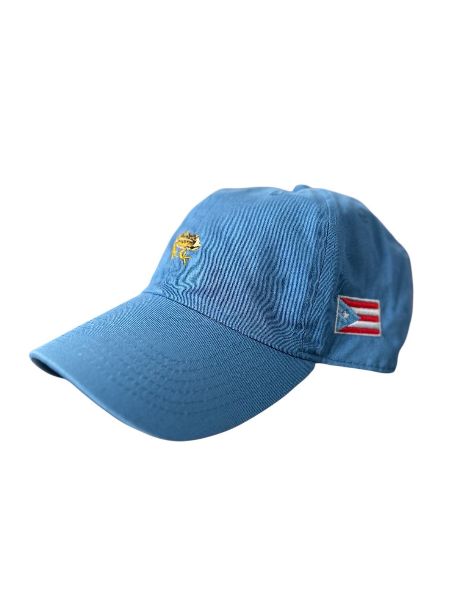 Qo-Qí Dad Hat Baby Blue